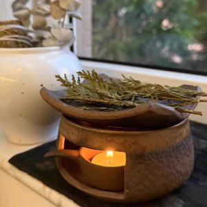 Hand made coarse pottery plant aromatherapy furnace