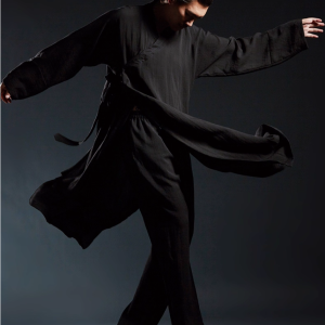 Men's kung fu suits/Tai Chi suits/Zen suits